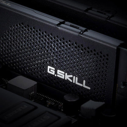 G.SKILL Flare X5 Series DDR5 RAM (AMD Expo & Intel XMP 3.0) 32GB (2x16GB) 6000MT/s CL36-36-36-96 1.35V Desktop Computer Memory U-DIMM - Matte Black (F5-6000J3636F16GX2-FX5)